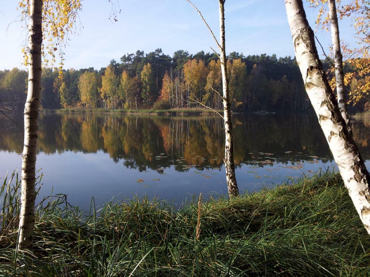 Seeblick III Bad Saarow Exteriér fotografie